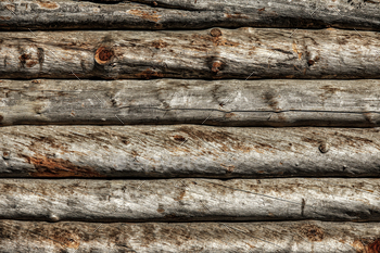 The texture of the logs. Wall of a rural house made of wooden logs with knots. Wooden background