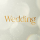 Wedding Invitation - VideoHive Item for Sale