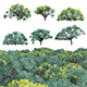 Euphorbia regis-jubae - 3DOcean Item for Sale