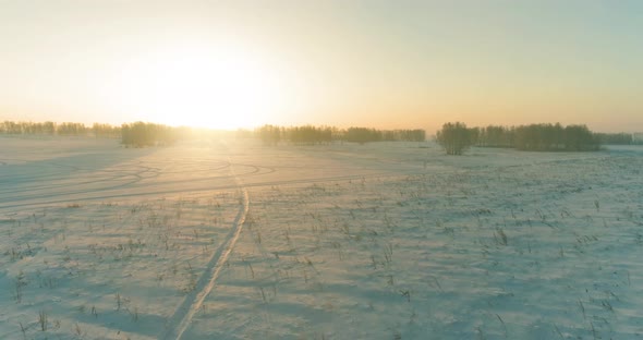 Aerial Drone View of Cold Winter Landscape with Arctic Field Trees Covered with Frost Snow and