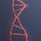 DNA - VideoHive Item for Sale
