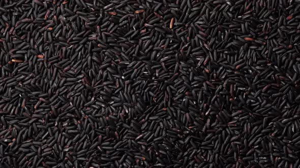 black rice top view. Raw wild black rice