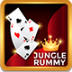 Jungle Rummy Template( Clone of Jungly Rummy) - CodeCanyon Item for Sale