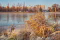 First frost in autumn in town. - PhotoDune Item for Sale