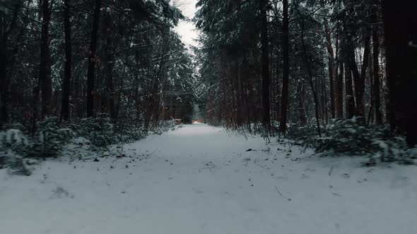 A drone shot flying quickly down a path in winter after a snowfall in Canada.