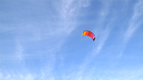 Colourful  Kite Flies