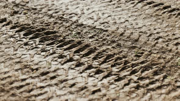 Wheel Tracks on Rough Road alt
