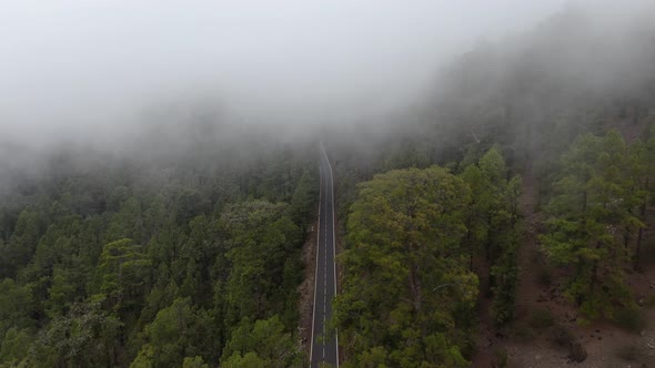 Drone flying over a forest road in the clouds