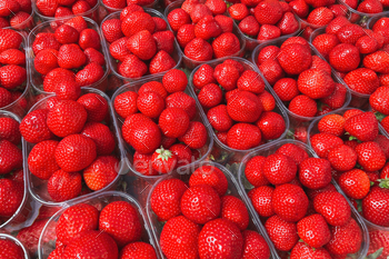 Boxes of strawberries in a French market