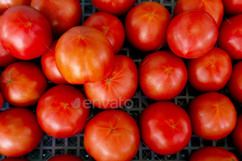 Close-up shot of tomatoes in the market