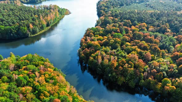 Blue river and forest at sunset, aerial view of Poland