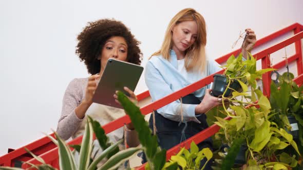 Two cheerful female florists talking and looking at flower