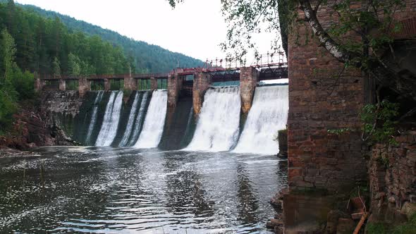 Water Dam in the Forest - River Water Falls Down Under the Bridge