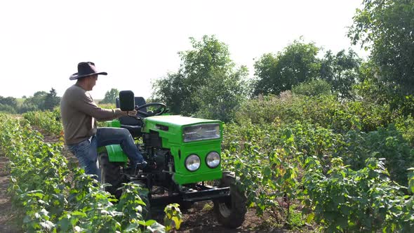 The Farmer Gets Into His Tractor the Beginning of the Harvest