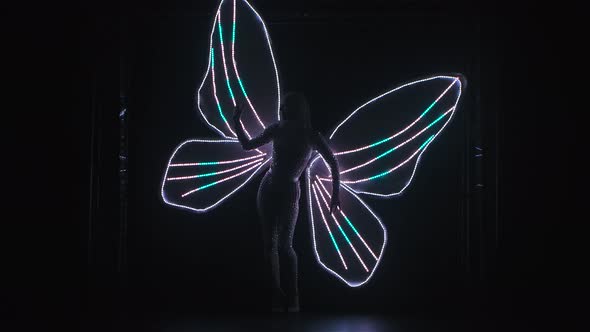 A Silhouette of a Woman with Glowing Butterfly Wings Can Be Seen on a Black Background, Theatrical