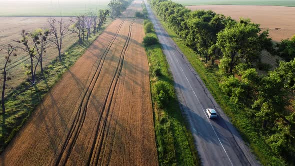 Aerial Drone View Flight Over Highway Wheat Field and Green Trees at Sunset Dawn