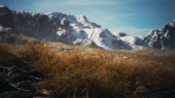 Dry Grass and Snow Covered Mountains in Alaska