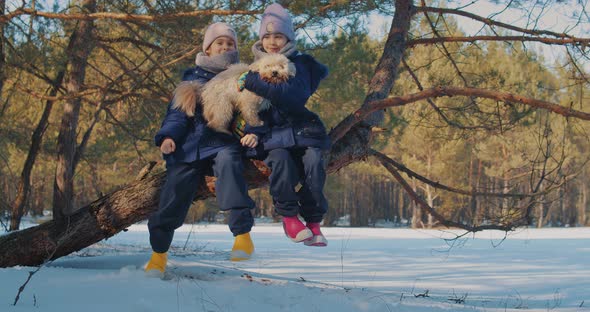 Two Sisters Sit in a Tree and Keep a Dog in a Winter Forest