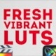 Fresh Vibrant LUTs | FCPX & Apple Motion - VideoHive Item for Sale