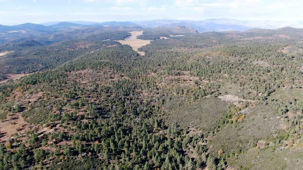 Pine Valley During Dry Fall Season, California