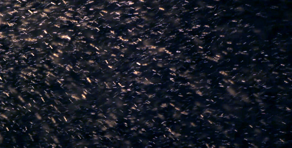 Dancing Snowflakes 2