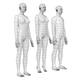 Natural Male and Female in Rest Pose Base Mesh - 3DOcean Item for Sale