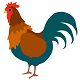 Rooster Crowing