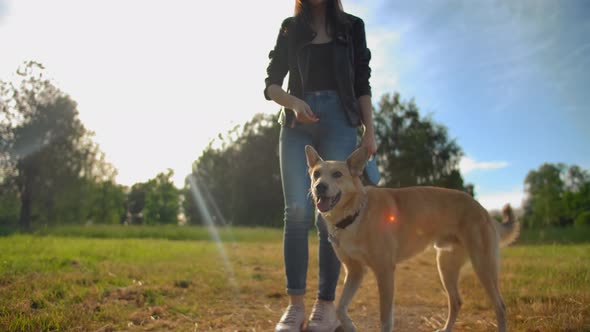 Unrecognizable Female with a Red Dog in the Park Unfolds Facing the Camera.