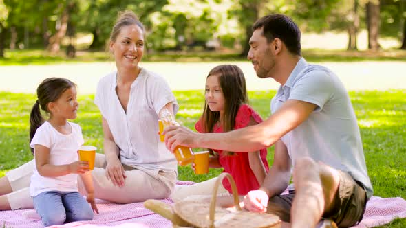 Happy Family Drinking Juice on Picnic at Park