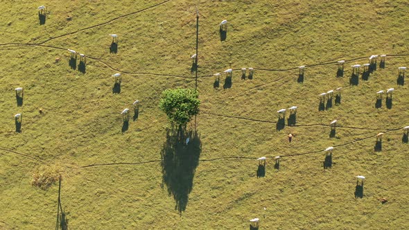 Rural landscape aerial view. Nature scenery