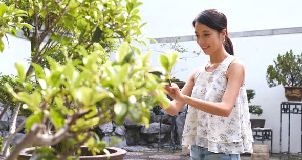 Woman taking photo with cellphone on bonsai