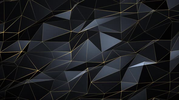 Abstract Polygonal black gold Golden Mesh contour .