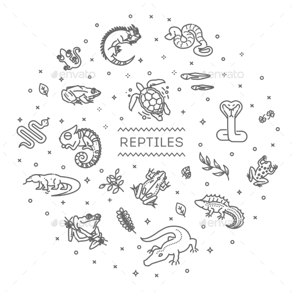 Reptiles and Amphibians Icons Set