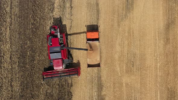 Harvester Pours Threshed Grain Into Truck