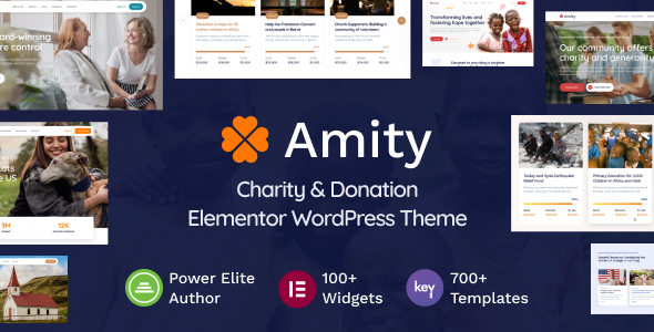 Amity - Charity & Donation ElementorTheme