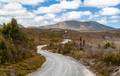 Winding Gravel Road Tasmania Australia - PhotoDune Item for Sale
