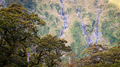 Trees And Waterfalls Background New Zealand - PhotoDune Item for Sale