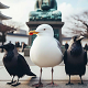 Seagull Crow