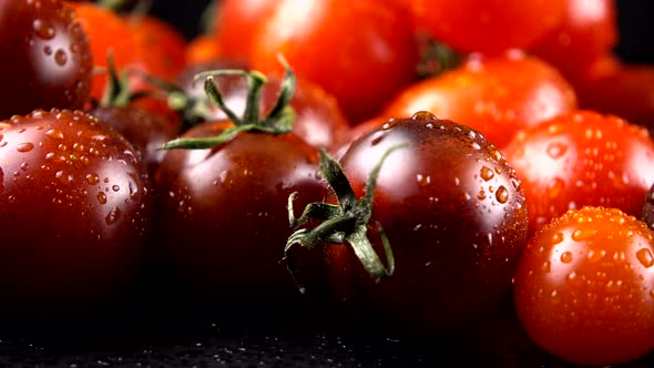 Cherry tomatoes on a black background in water drops.