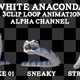 White Anaconda 3clip Loop - VideoHive Item for Sale