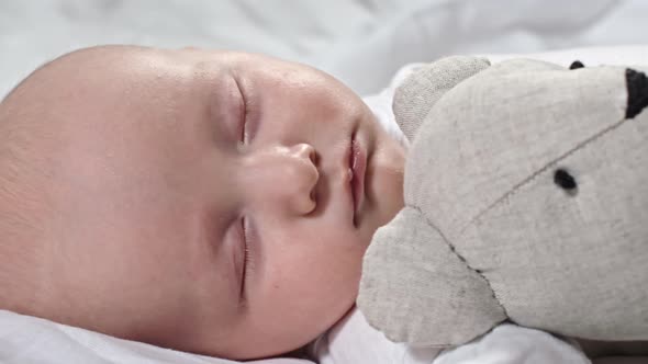 Adorable Infant Sleeping