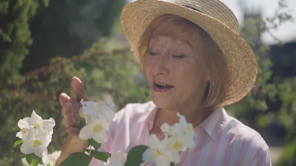 Satisfied Senior Female Florist Admiring Beauty of White Blossom on Bush Branch in Sunlight