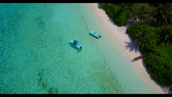 Aerial travel of tranquil bay beach lifestyle by turquoise ocean with bright sandy background of a d