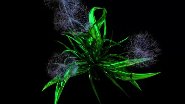 Dandelion Seeds Botanical 3D Rendering
