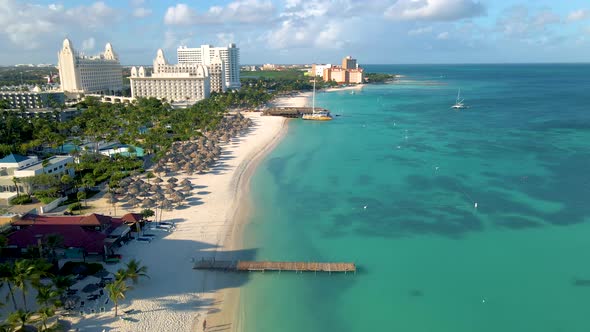 Palm Beach Aruba Amazing Tropical Beach with Palm Tree Entering the Ocean Against Azur Ocean Gold