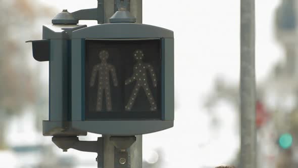 Pedestrians signal igniting red and green