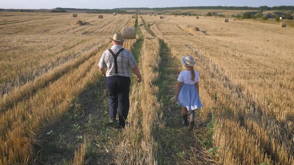 Grandfather and Granddaughter Walking Across the Field with Haystacks. Farmer Grandfather Teaches