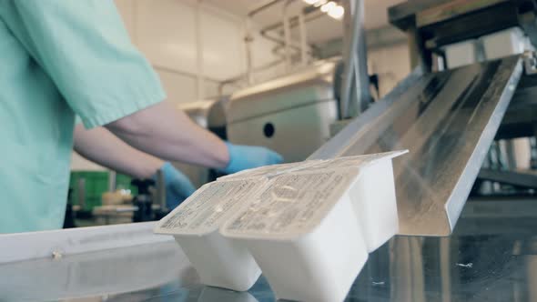 Worker Is Removing Plastic Boxes with Dairy From the Belt