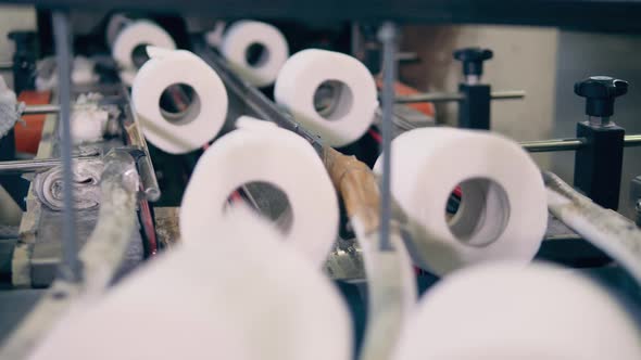 Toilet Paper Rolls Are Moving Through the Industrial Conveyor