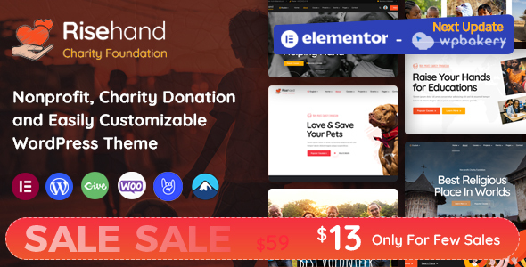 RiseHand - Charity & Donation WordPress Theme